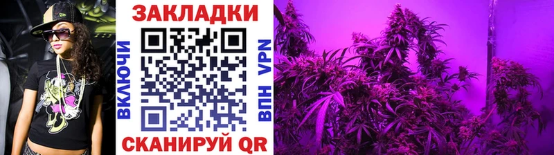 Купить наркотики цена Тайга Каннабис  Cocaine  APVP  Меф мяу мяу 