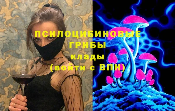 винт Ладушкин