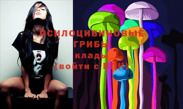 крисы Куйбышев
